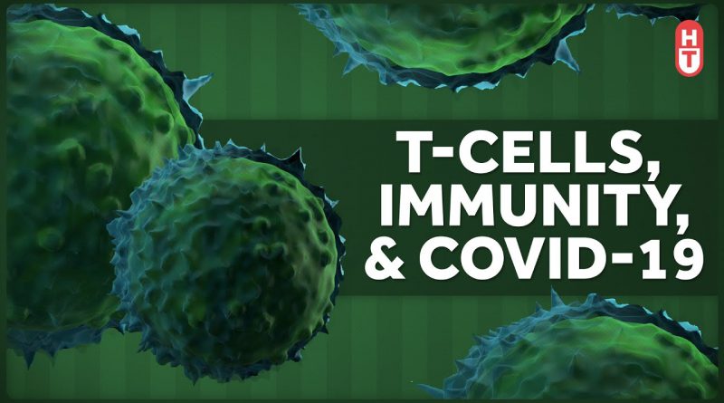 The Immune System, T-Cells, and Covid-19