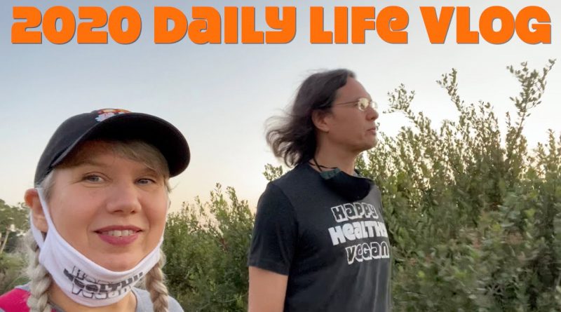 2020 Daily Life Vlog with Anji + Ryan (feat a cute raccoon family, home cooked meals & nature walk)