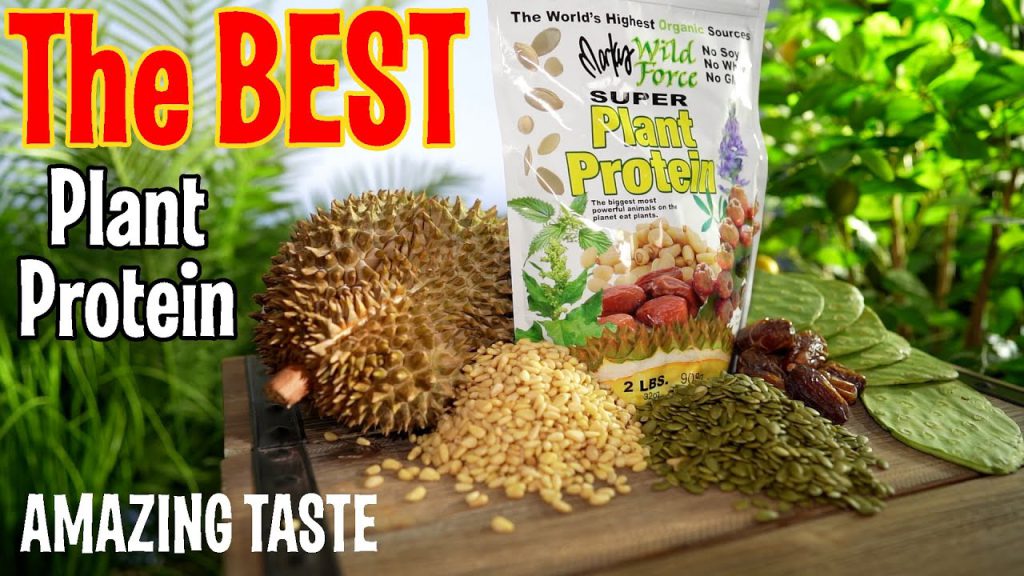 Awesome Tasting Vegan Protein