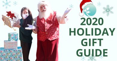 Best Holiday Gift IDEAS of 2020 | Best Wellness Gift Guide & Pandemic Gift Ideas