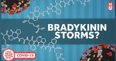 Bradykinin Storms and Covid Inflammation