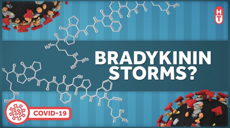 Bradykinin Storms and Covid Inflammation