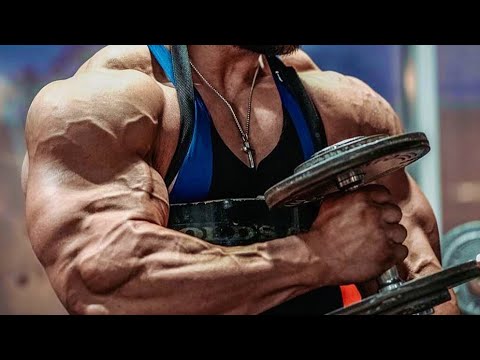 INSANE WORK ETHIC - HARDCORE GYM MOTIVATION