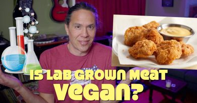 Lab Grown Meat On Sale Now! Is It Vegan & Will We Eat It?