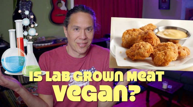 Lab Grown Meat On Sale Now! Is It Vegan & Will We Eat It?