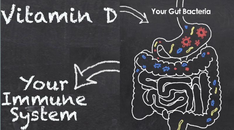 Vitamin D, Gut Bacteria & Your Immune System